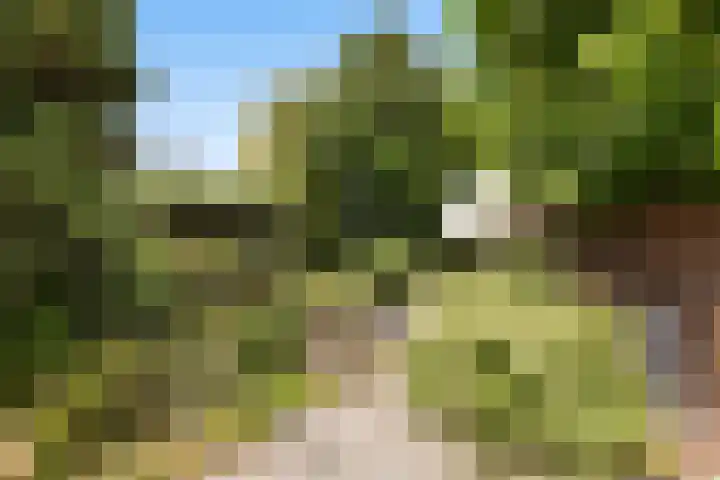 Parklaan 29 Soest thumbnail 52