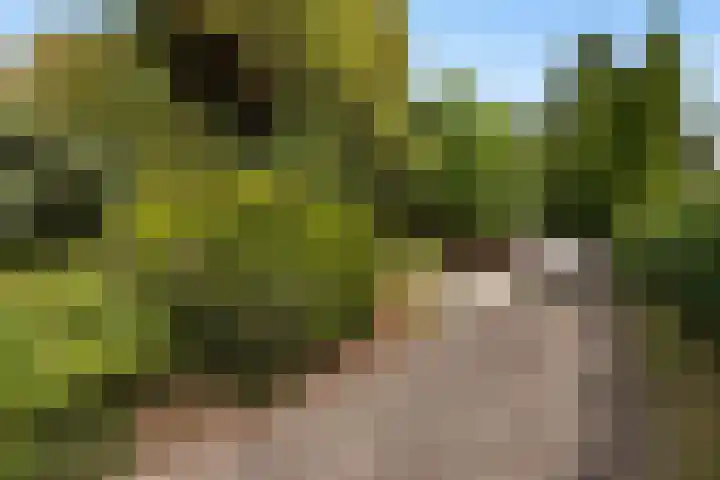 Parklaan 29 Soest thumbnail 53