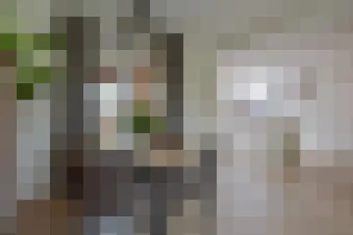 Parklaan 3 Melick thumbnail 10