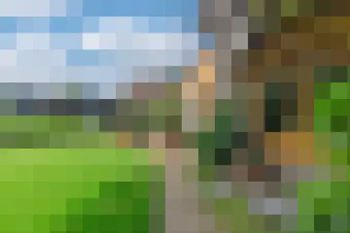 Parklaan 37 A Bussum thumbnail 43