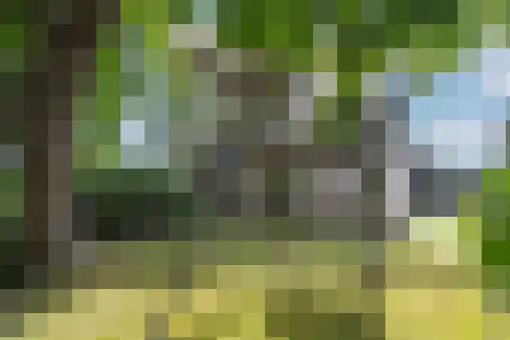 Parklaan 37 A Bussum thumbnail 57