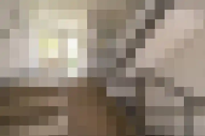 Parklaan 4 Nuth thumbnail 15