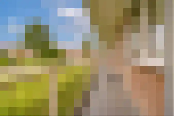 Parklaan 4 Nuth thumbnail 5