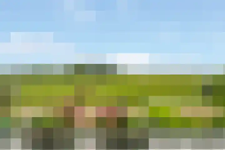 Parklaan 44 Woerden thumbnail 19
