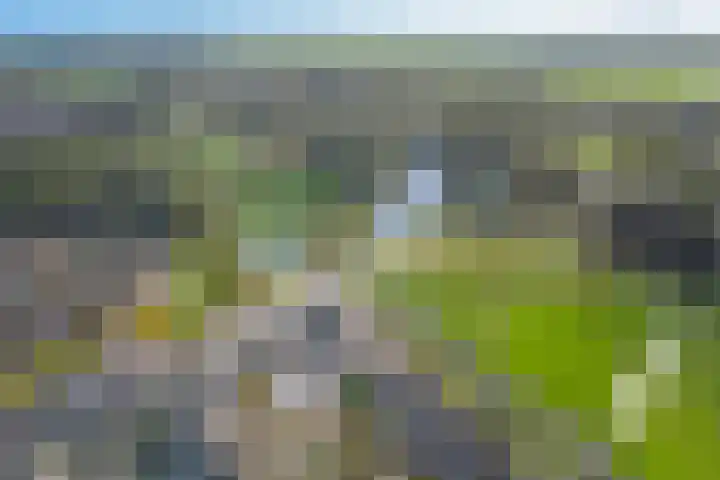 Parklaan 44 Woerden thumbnail 46