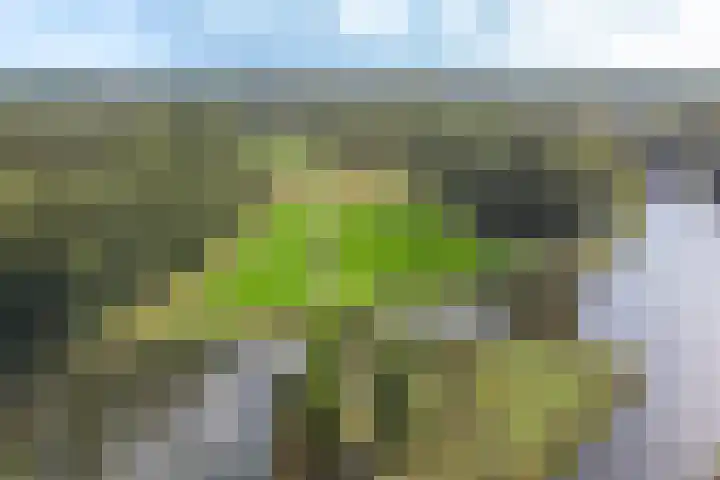 Parklaan 44 Woerden thumbnail 48