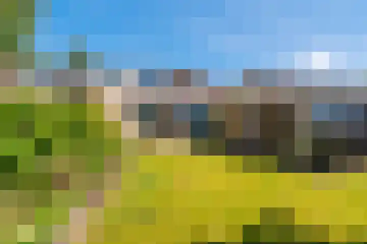 Parklaan 5 Blijham thumbnail 39