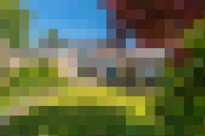 Parklaan 5 Blijham thumbnail 4