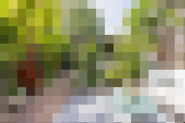 Parklaan 50 Haarlem thumbnail 18