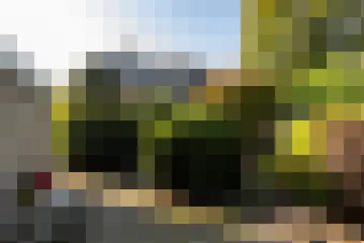 Parklaan 50 Haarlem thumbnail 39