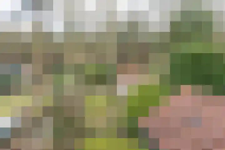 Parklaan 54 Bilthoven thumbnail 23