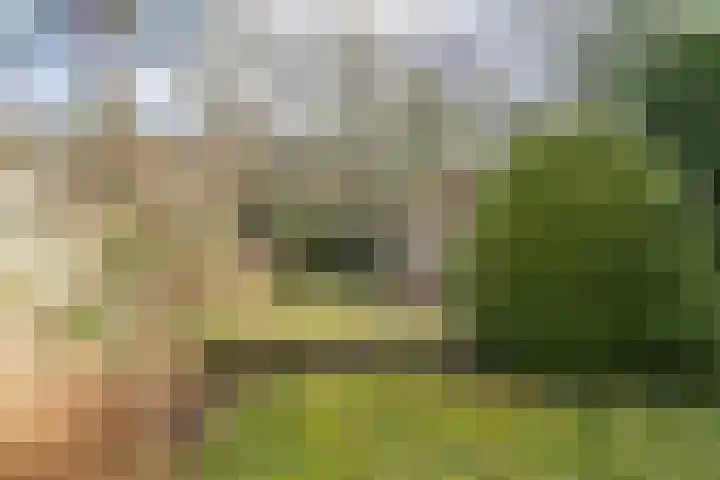 Parklaan 54 Bilthoven thumbnail 32