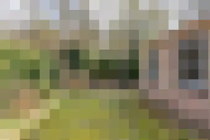Parklaan 54 Bilthoven thumbnail 34