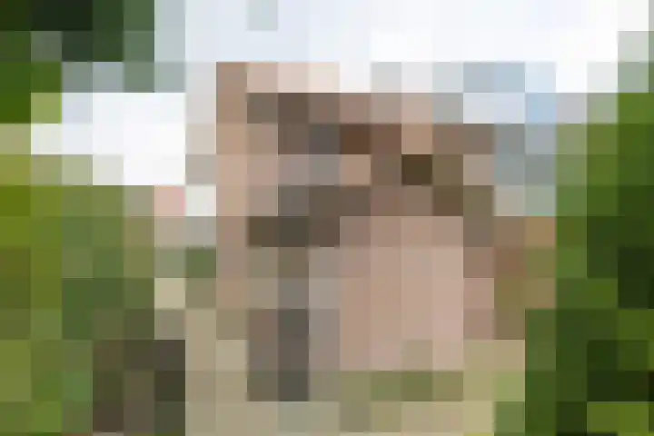 Parklaan 54 Bilthoven thumbnail 41