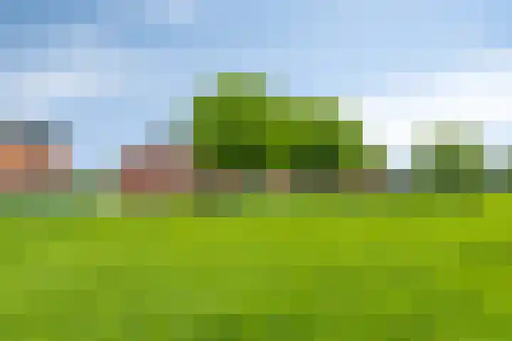 Parklaan 55 Pijnacker