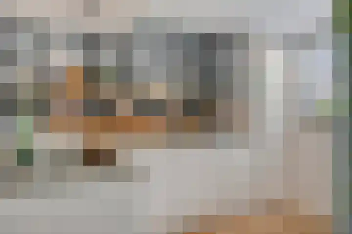 Parklaan 55 Pijnacker thumbnail 13