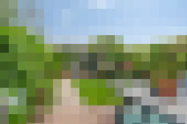Parklaan 55 Pijnacker thumbnail 33