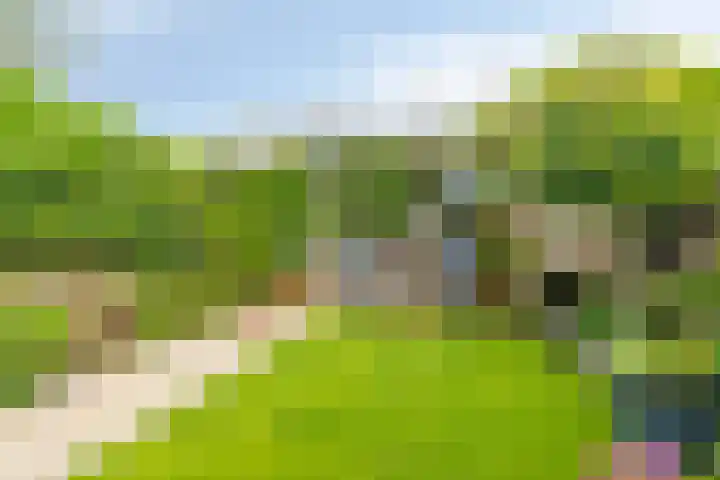 Parklaan 55 Pijnacker thumbnail 34