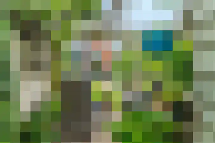 Parklaan 55 Pijnacker thumbnail 35