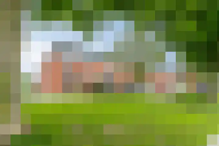 Parklaan 55 Pijnacker thumbnail 36