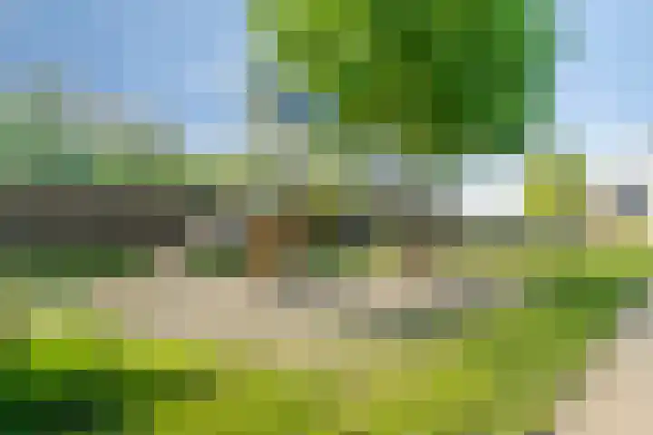 Parklaan 55 Pijnacker thumbnail 37