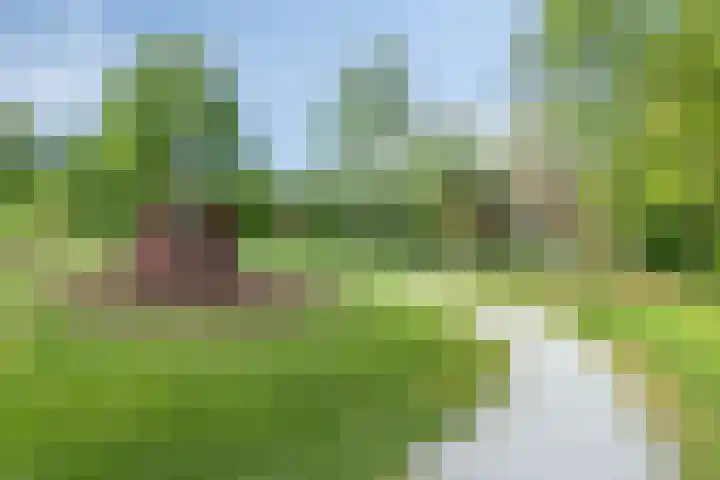 Parklaan 55 Pijnacker thumbnail 43