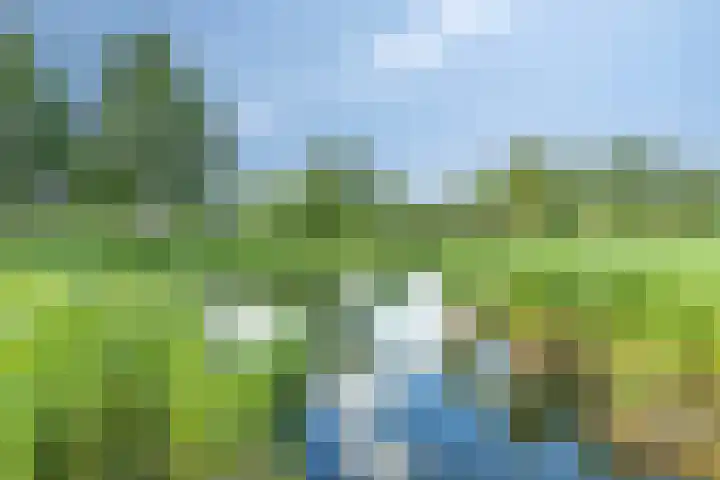 Parklaan 55 Pijnacker thumbnail 44