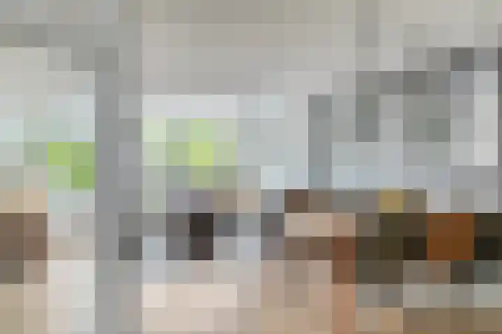 Parklaan 55 Pijnacker thumbnail 8