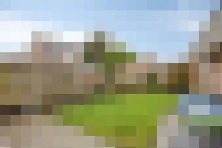 Parklaan 8 Kapelle thumbnail 32