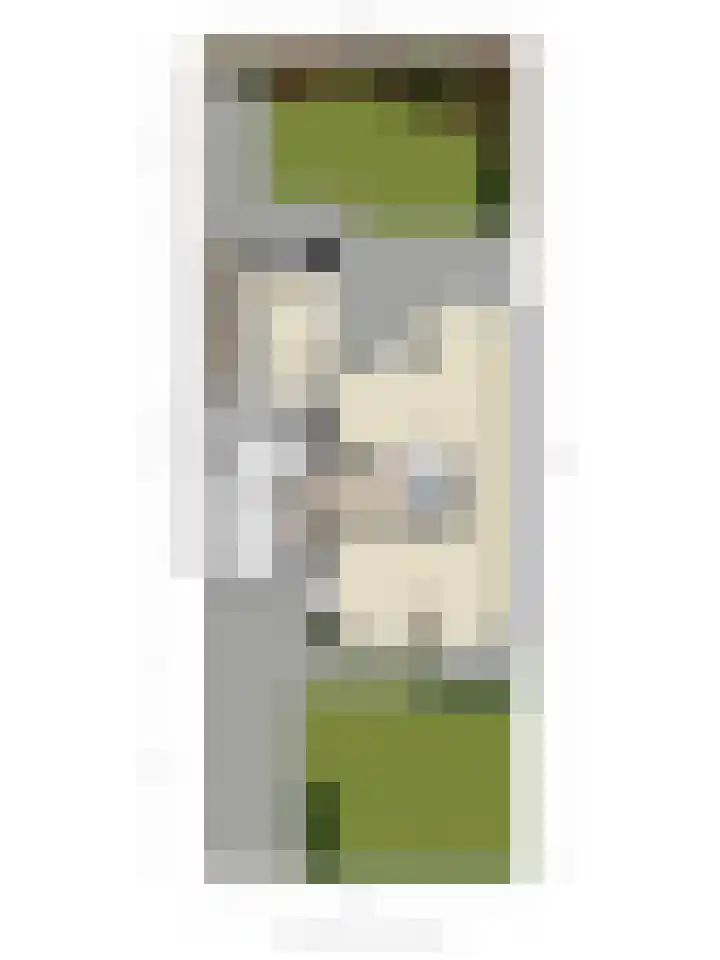 Parklaan 8 Kapelle thumbnail 36