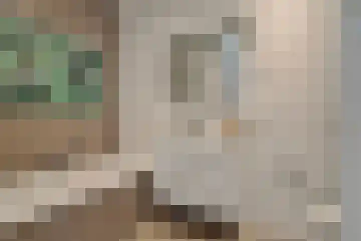Parklaan 93 Boskoop thumbnail 13