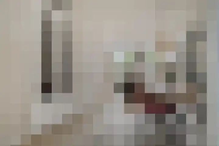 Parklaan 93 Boskoop thumbnail 5
