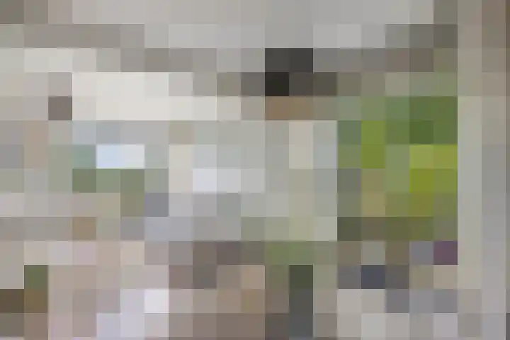 Parkrand 6 Ede thumbnail 16