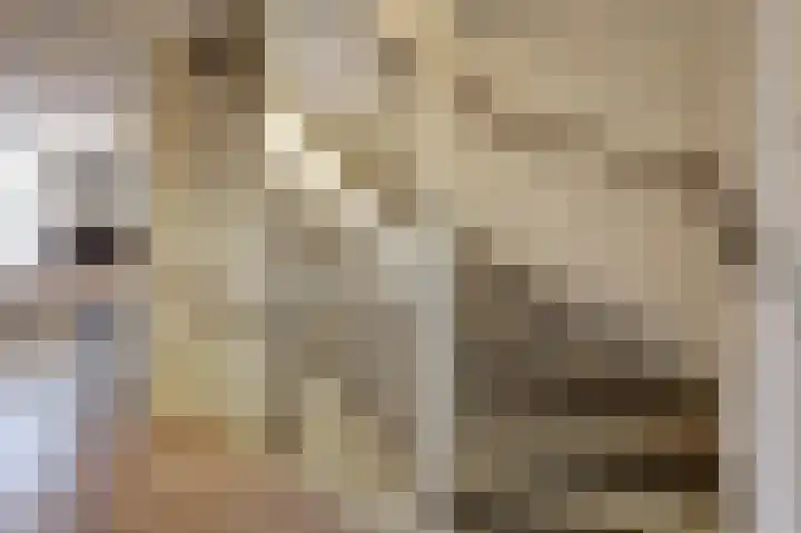 Parkrand 6 Ede thumbnail 17