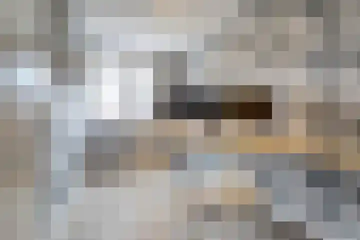 Parkrand 6 Ede thumbnail 22
