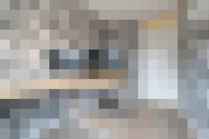 Parkrand 6 Ede thumbnail 23