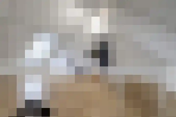 Parkrand 6 Ede thumbnail 29