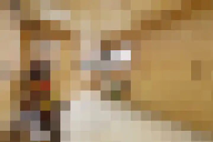 Parkrand 6 Ede thumbnail 36