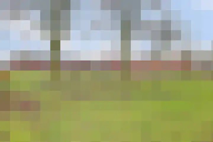 Parkrand 6 Ede thumbnail 40