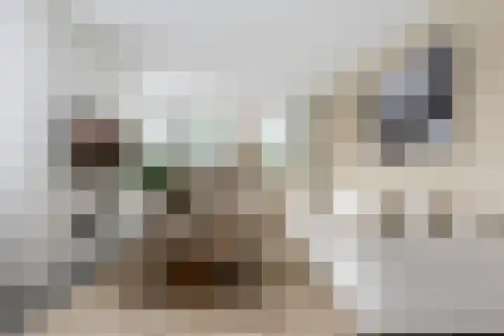 Parkrand 6 Ede thumbnail 42