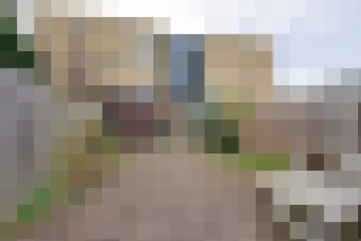 Parkstee 49 Purmerend thumbnail 19