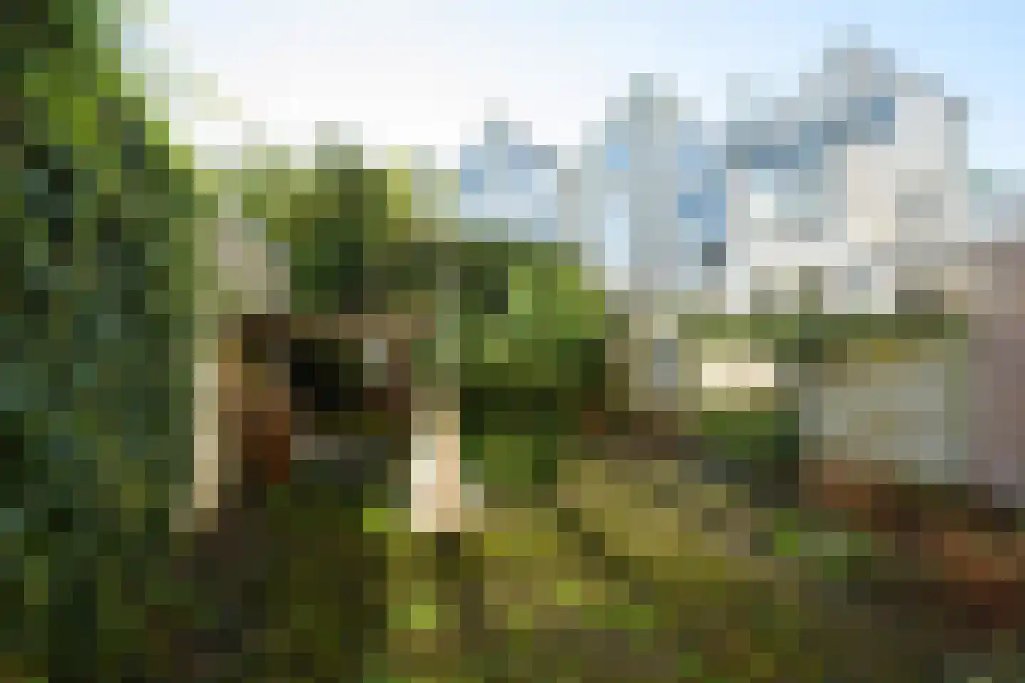 Parkstraat 10 Breda thumbnail 66