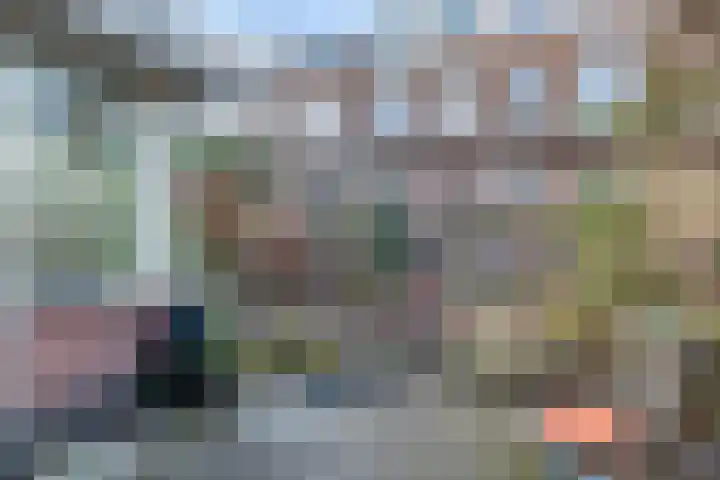 Parkstraat 16 Utrecht thumbnail 21