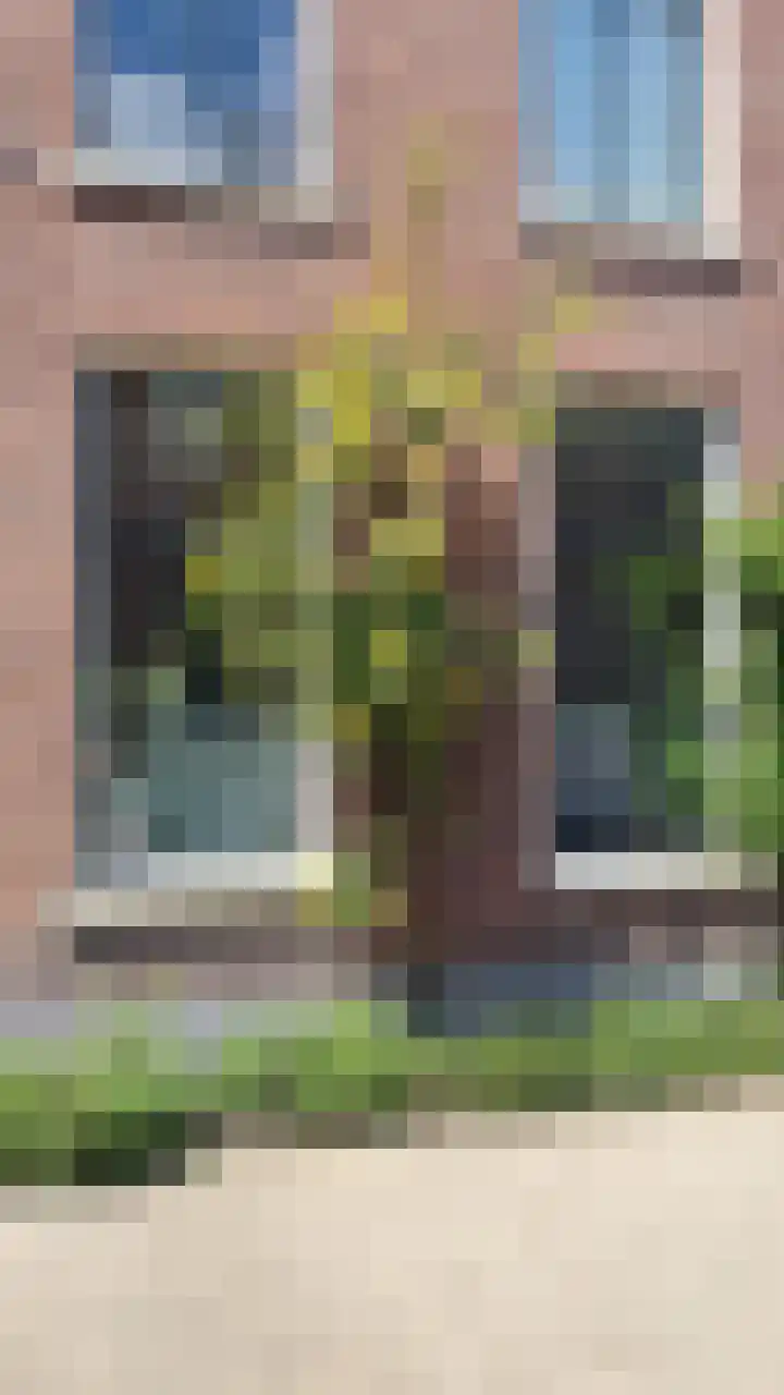 Parkstraat 16 Utrecht thumbnail 55