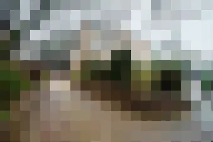 Parkstraat 17 Baarn thumbnail 31