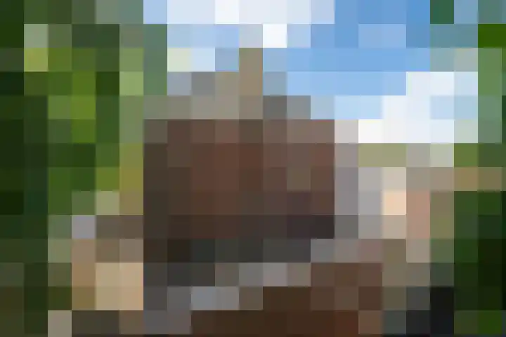Parkstraat 2 Grou thumbnail 22