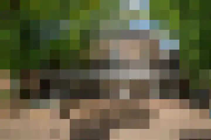 Parkstraat 2 Grou thumbnail 27