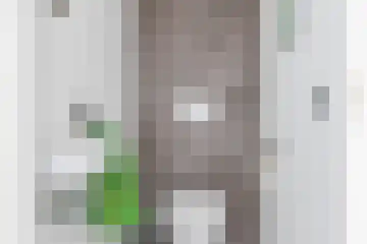 Parkstraat 25 Deurne thumbnail 8