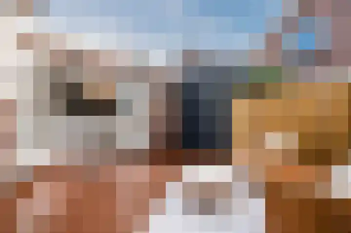 Parkstraat 31 Zaandijk thumbnail 5