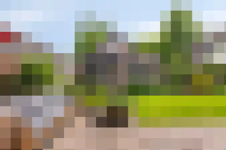 Parkstraat 42 Emmen thumbnail 31